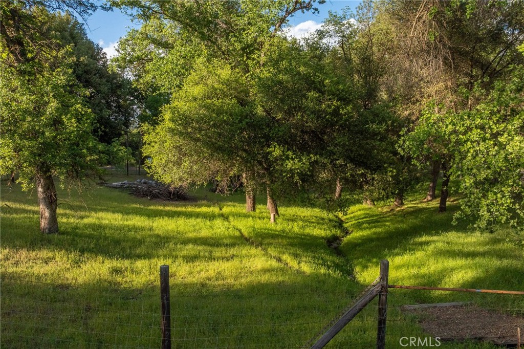 50711 Road 426 Property Photo 73