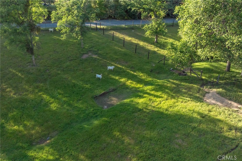 50711 Road 426 Property Photo 74