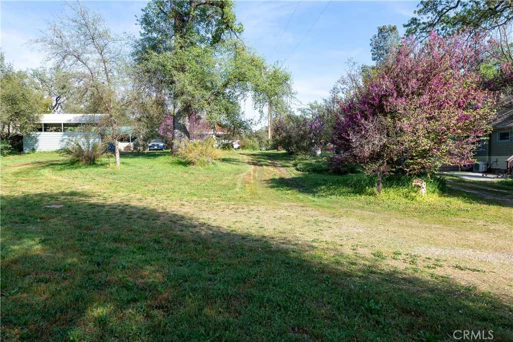 42655 Highway 49 Property Photo 32