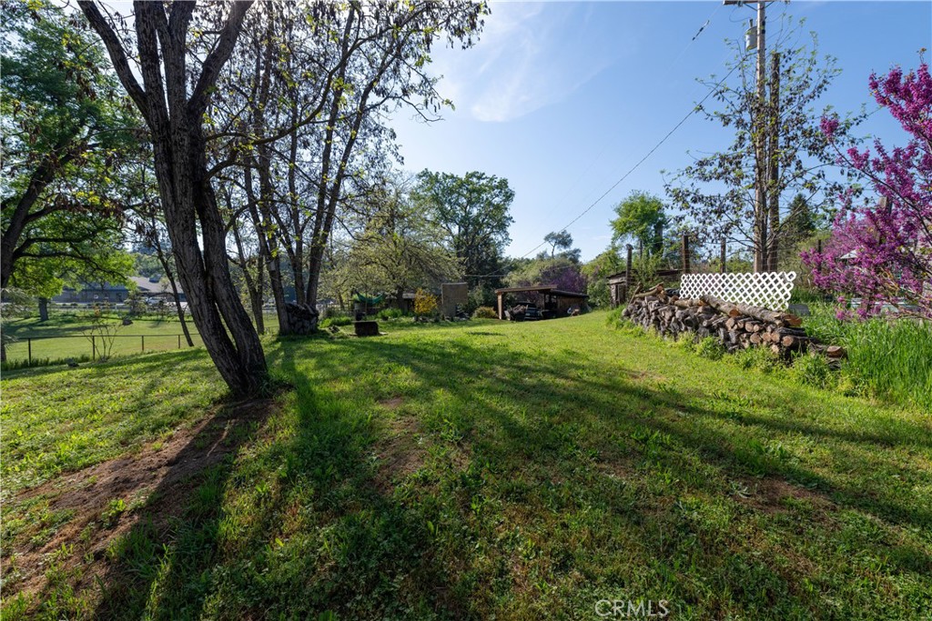 42655 Highway 49 Property Photo 37