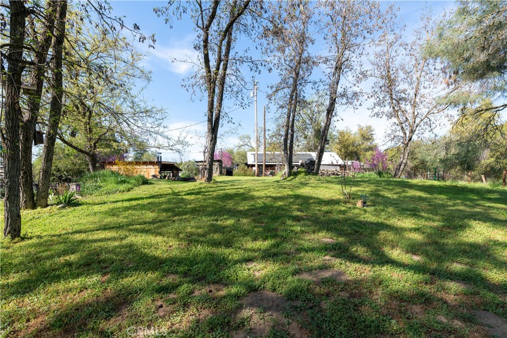 42655 Highway 49 Property Photo 39