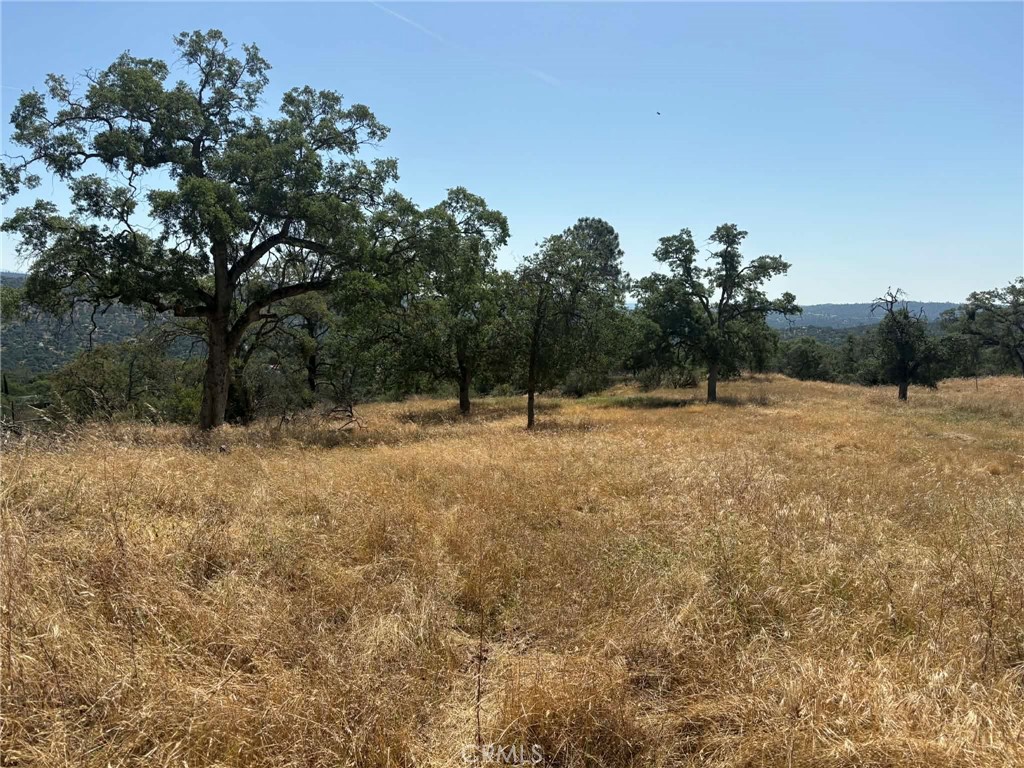 0 Lilley Mountain Property Photo 1