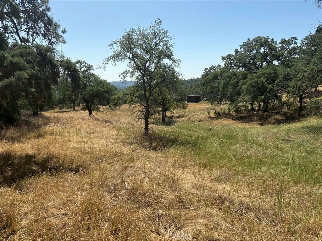 0 Lilley Mountain Property Photo 2