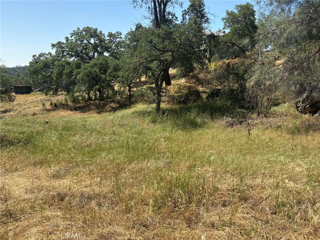 0 Lilley Mountain Property Photo 3