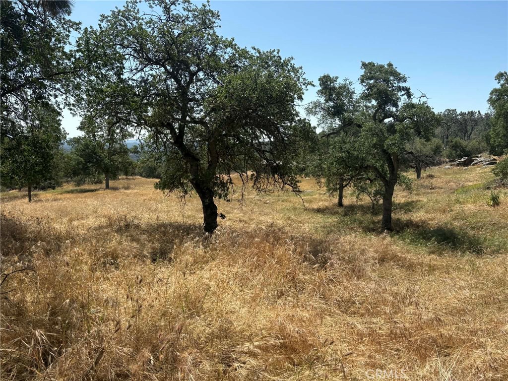 0 Lilley Mountain Property Photo 4