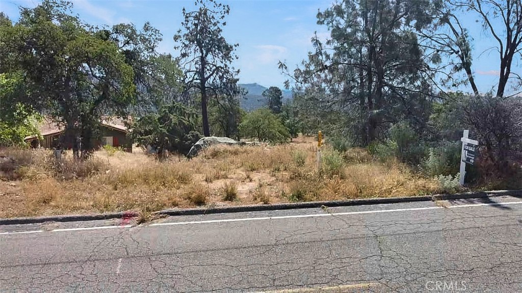 0 Lilley Mountain Property Photo 6