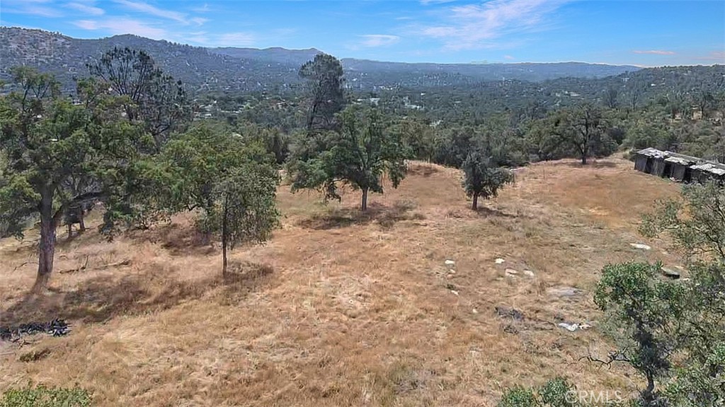 0 Lilley Mountain Property Photo 7