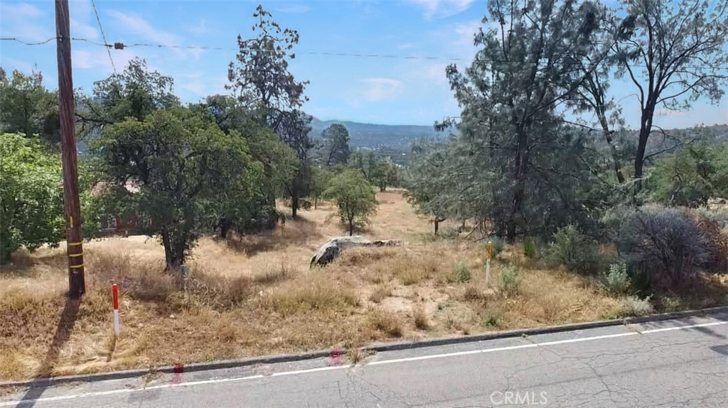 0 Lilley Mountain Property Photo 10
