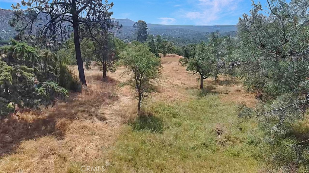 0 Lilley Mountain Property Photo 11