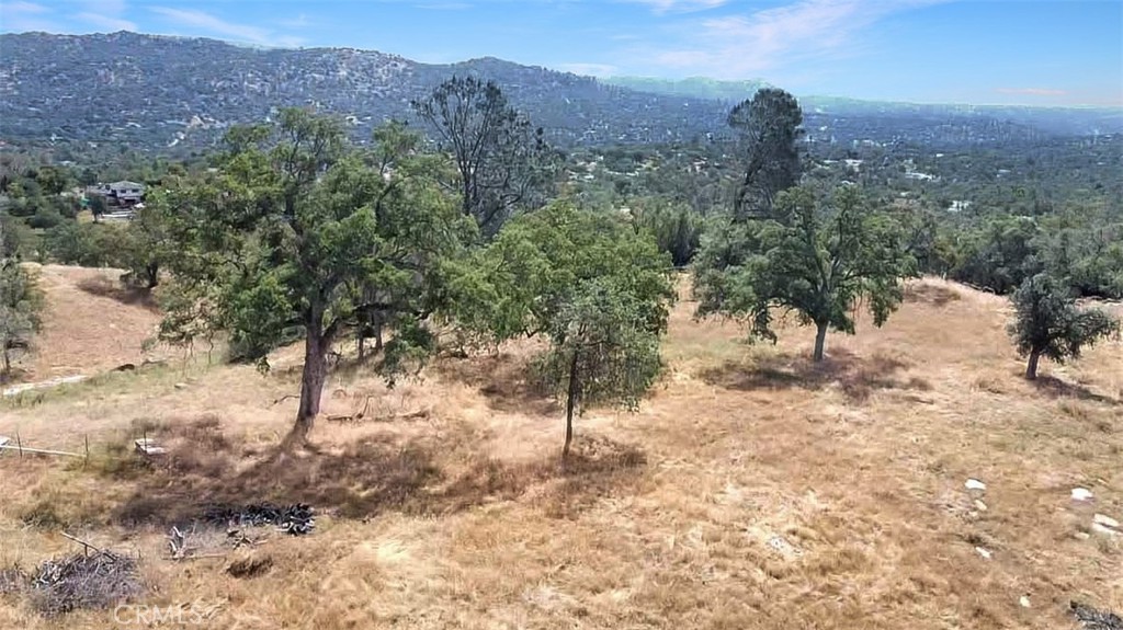 0 Lilley Mountain Property Photo 12