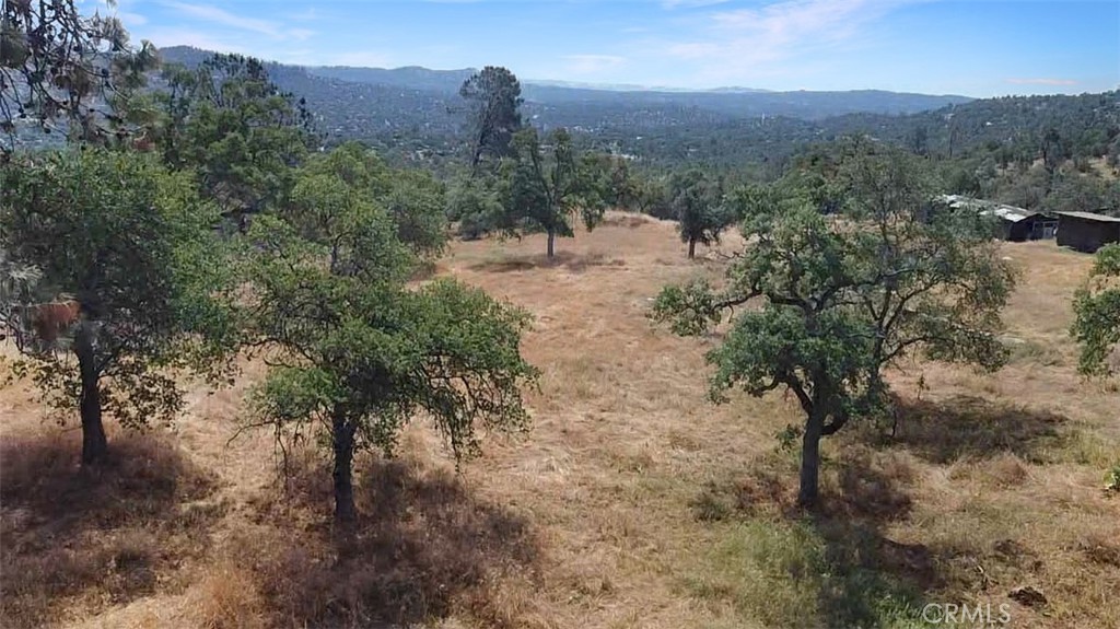 0 Lilley Mountain Property Photo 13