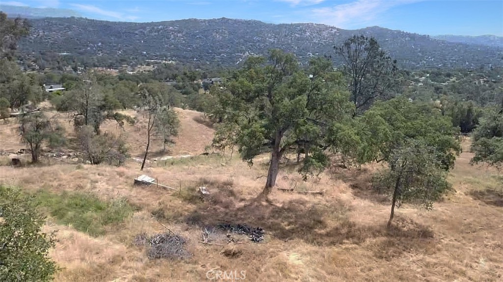 0 Lilley Mountain Property Photo 14