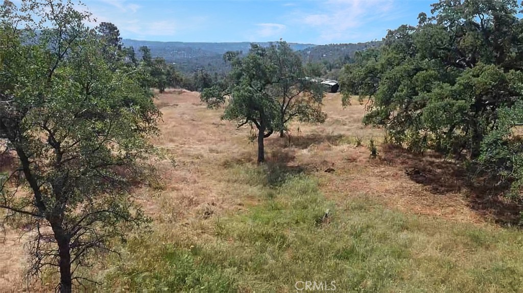 0 Lilley Mountain Property Photo 15