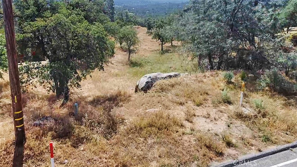 0 Lilley Mountain Property Photo 16