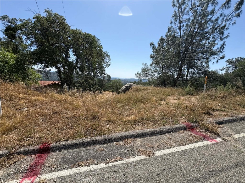 0 Lilley Mountain Property Photo 17