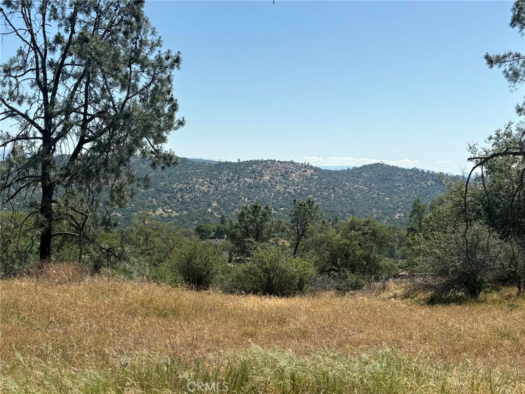 0 Lilley Mountain Property Photo 18