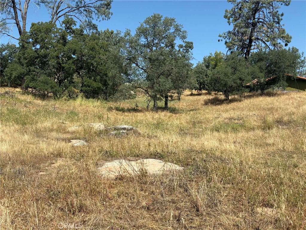 0 Lilley Mountain Property Photo 19