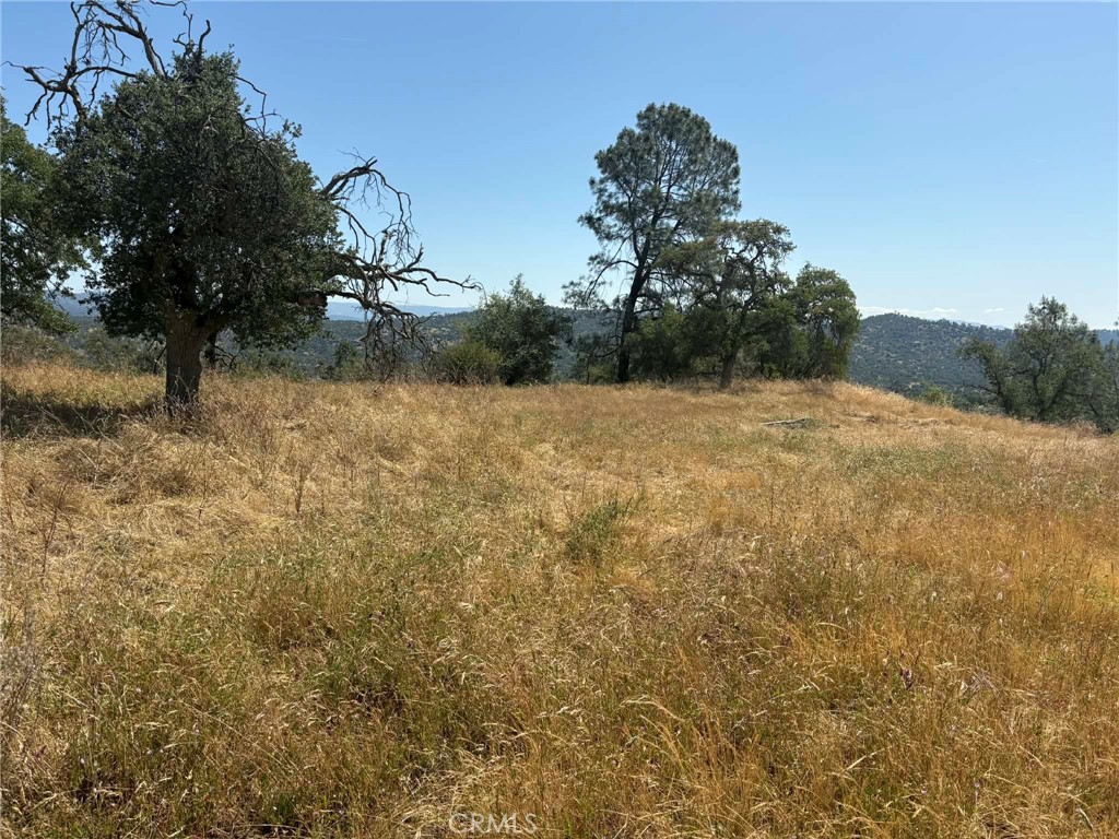 0 Lilley Mountain Property Photo 20