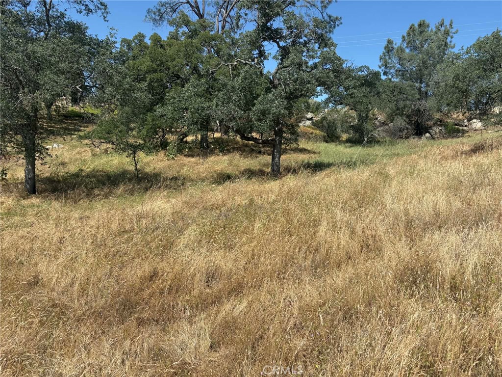 0 Lilley Mountain Property Photo 21