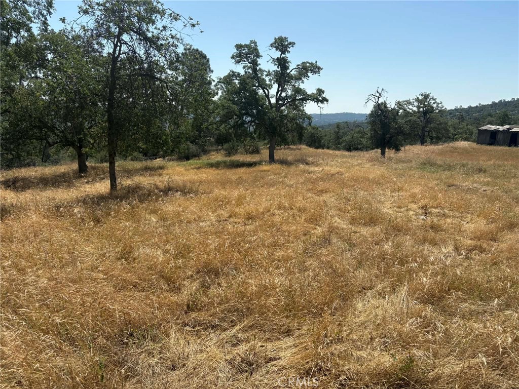 0 Lilley Mountain Property Photo 22