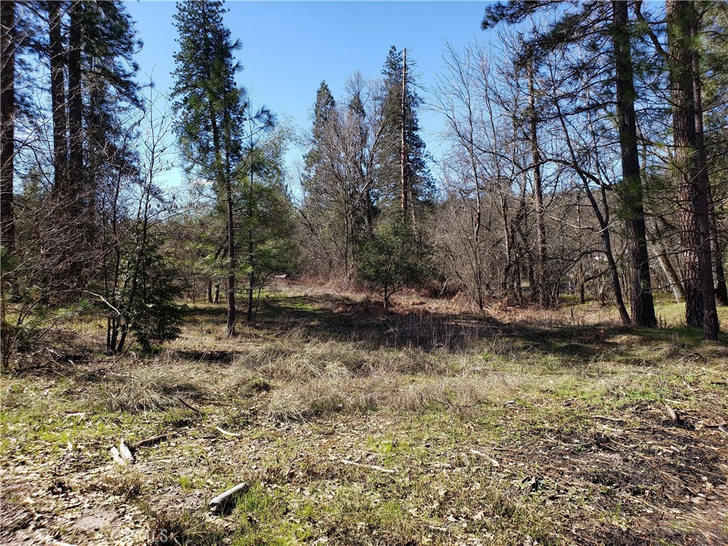 0 Road 225 Property Photo 11