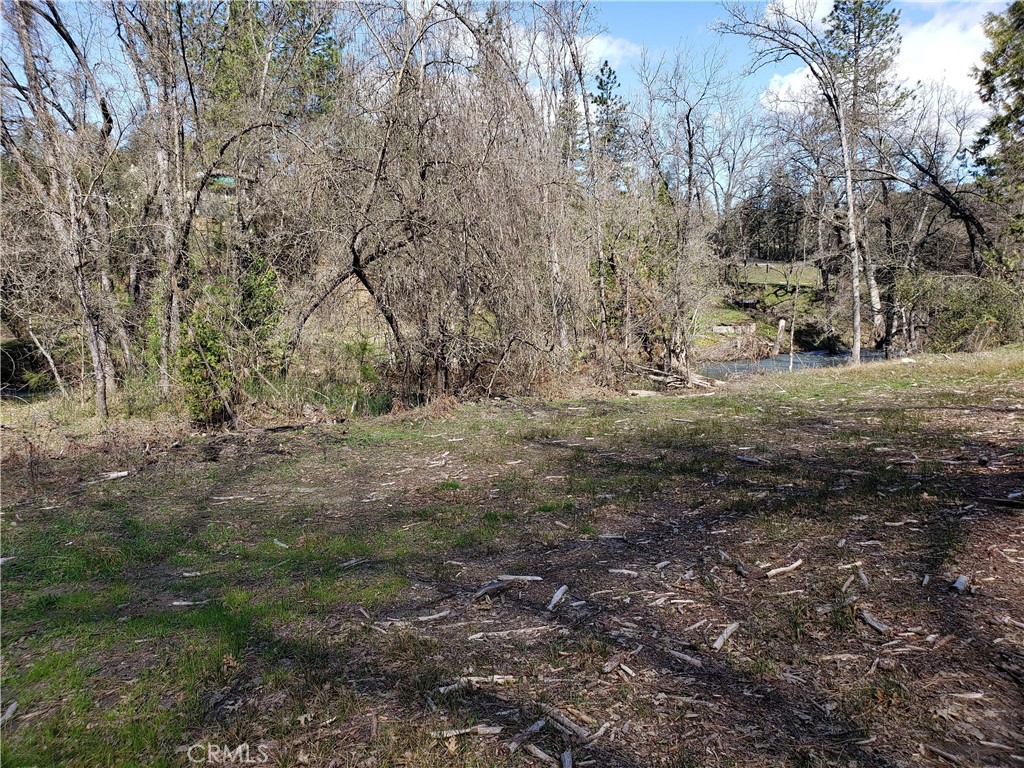0 Road 225 Property Photo 12