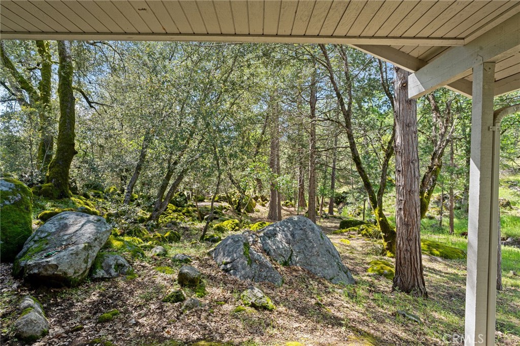 36556 Mudge Ranch Road Property Photo 46