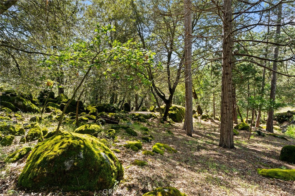 36556 Mudge Ranch Road Property Photo 48