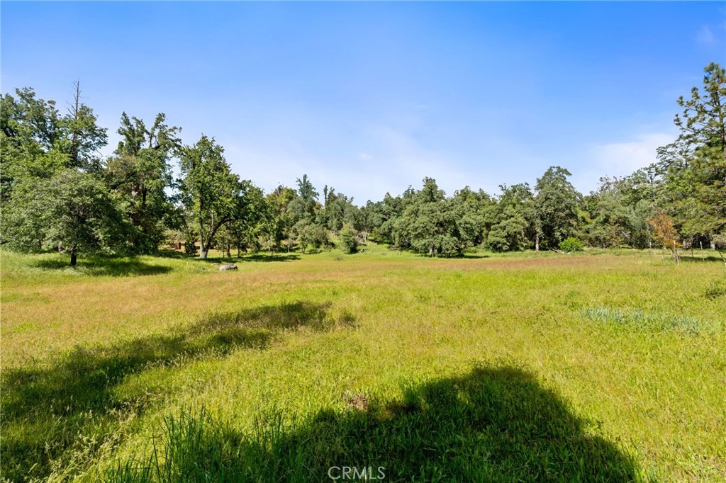 36556 Mudge Ranch Road Property Photo 57