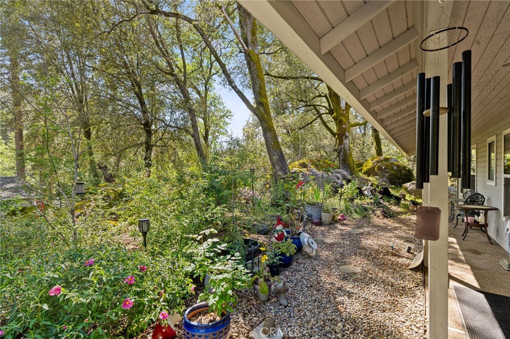 36556 Mudge Ranch Road Property Photo 61