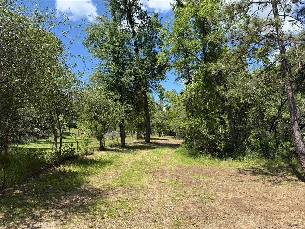2 Road 601 Property Photo 2