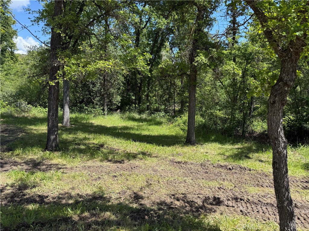 2 Road 601 Property Photo 6