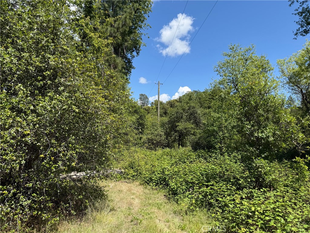 2 Road 601 Property Photo 7