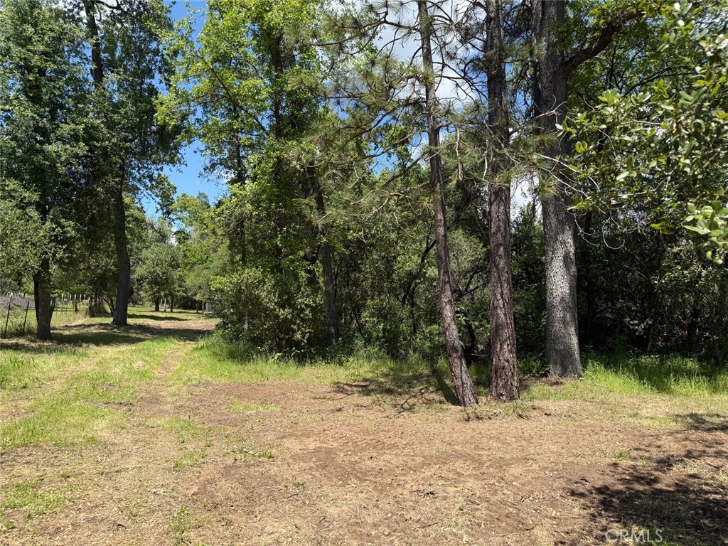 2 Road 601 Property Photo 8