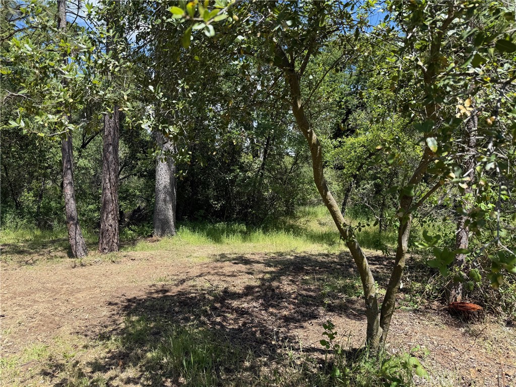 2 Road 601 Property Photo 9