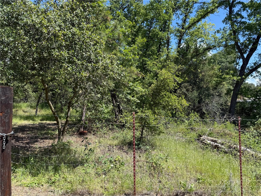 2 Road 601 Property Photo 10