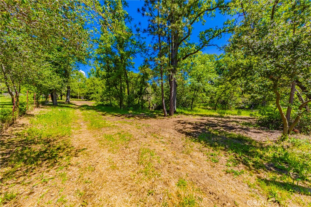 2 Road 601 Property Photo 11