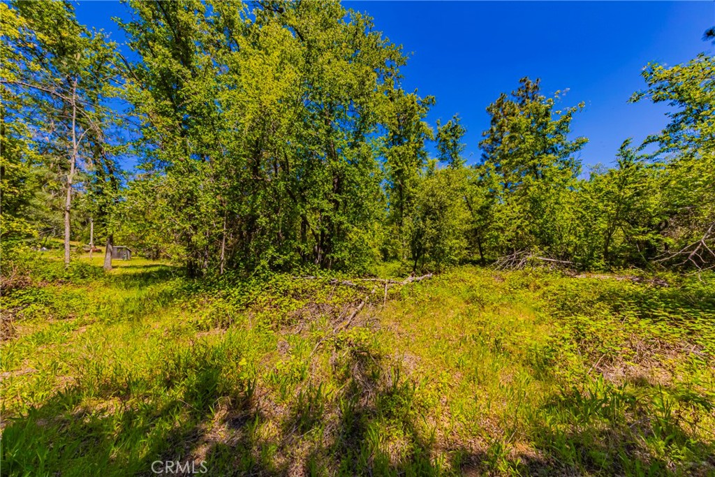 2 Road 601 Property Photo 17