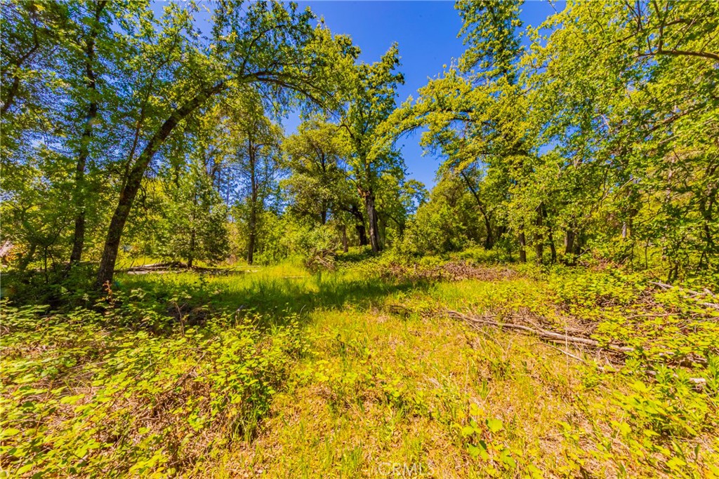 2 Road 601 Property Photo 18