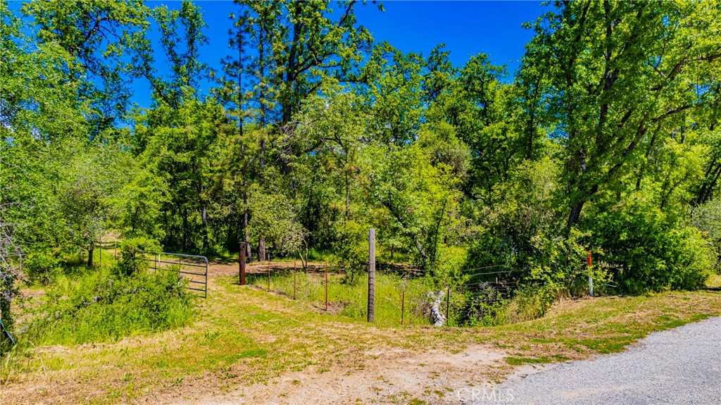 2 Road 601 Property Photo 23