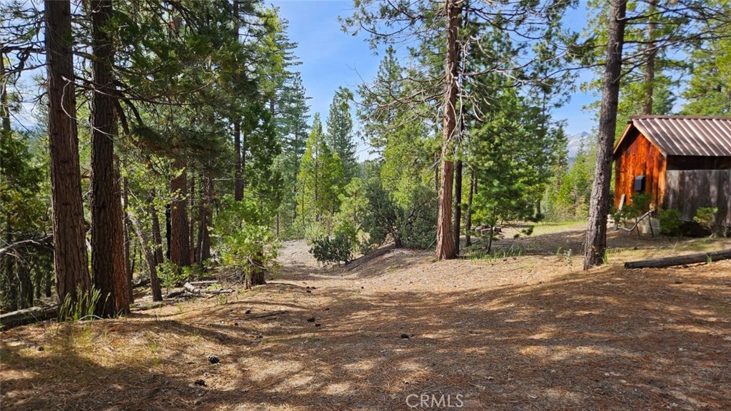 46336 Silvertip Property Photo 59
