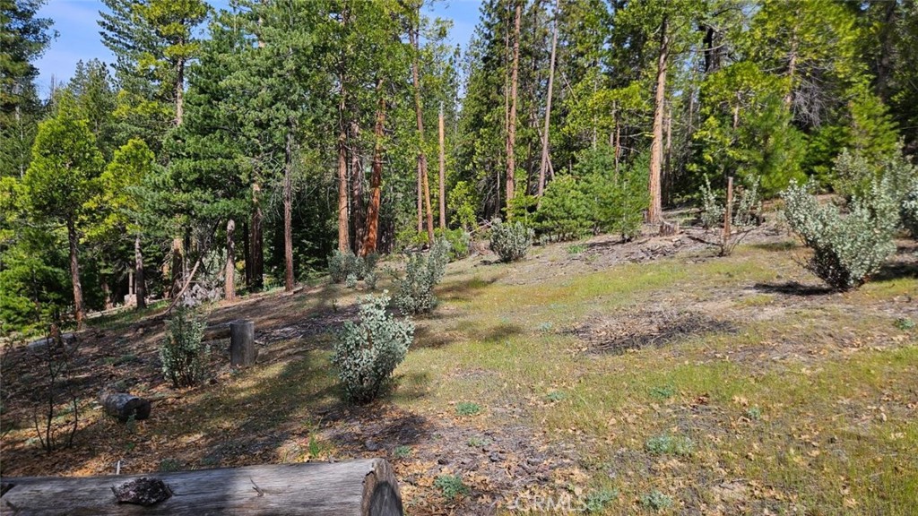 46336 Silvertip Property Photo 65