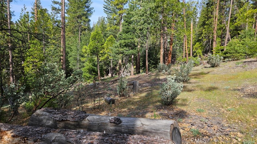 46336 Silvertip Property Photo 66
