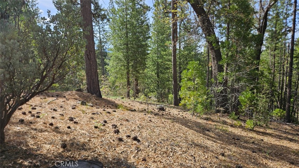 46336 Silvertip Property Photo 68