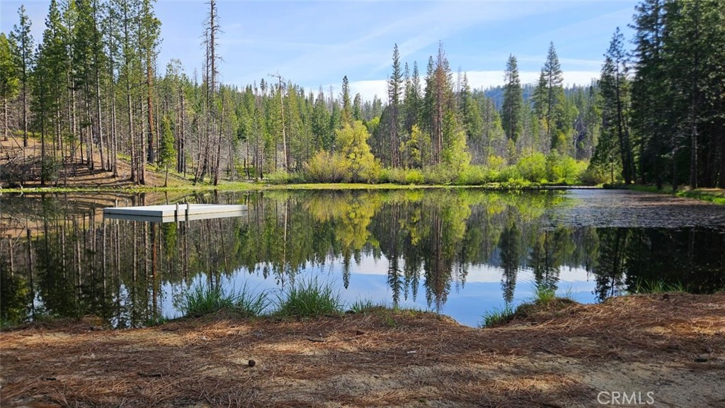 46336 Silvertip Property Photo 70