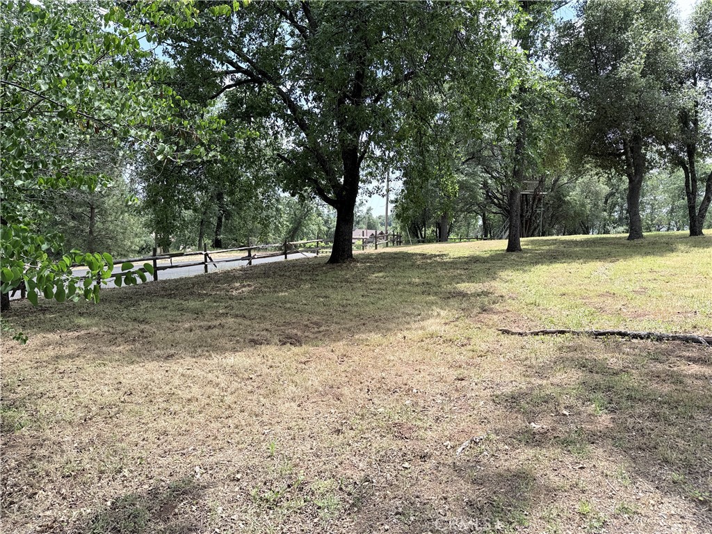 34914 Sneezeweed Lane Property Photo 44
