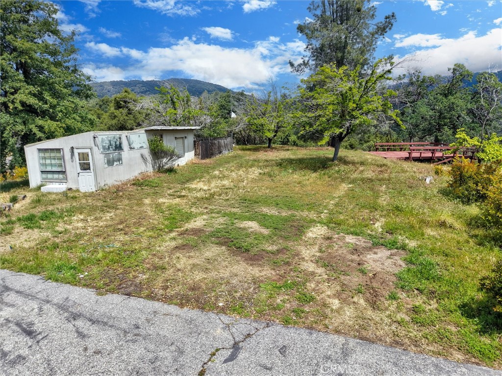 43736 Highway 49 Property Photo 53