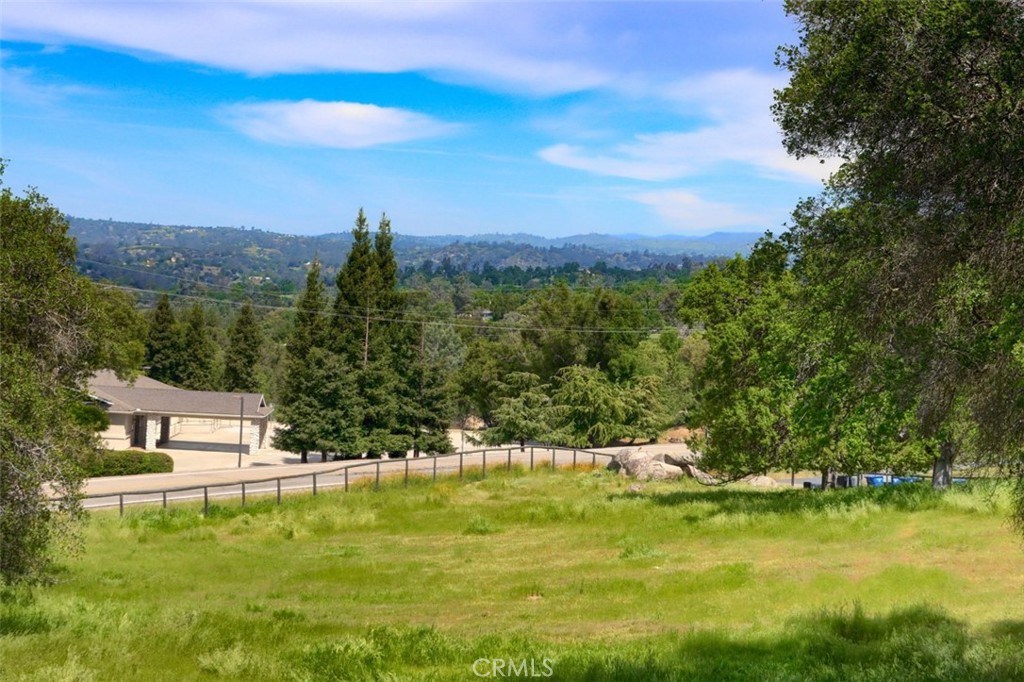 32028 Cattle Way Property Photo 53