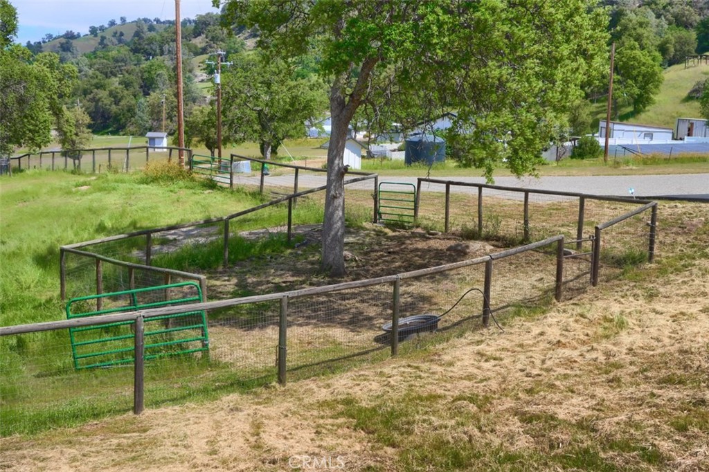 32028 Cattle Way Property Photo 54