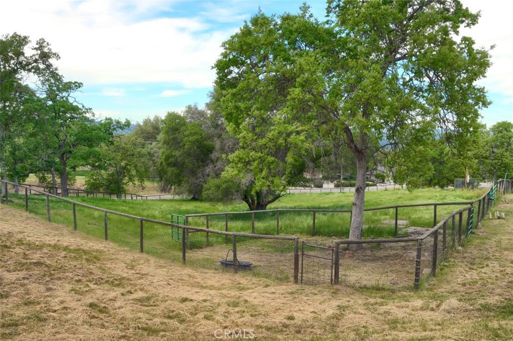 32028 Cattle Way Property Photo 55